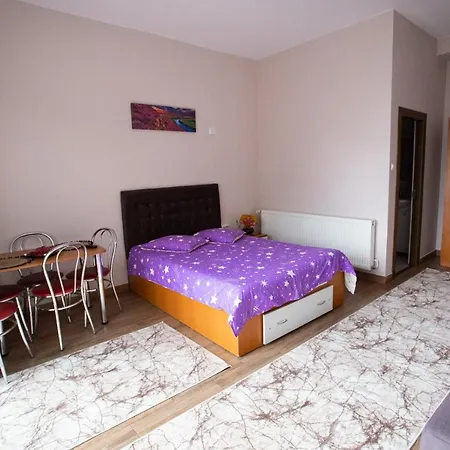 Casa Riana Turda